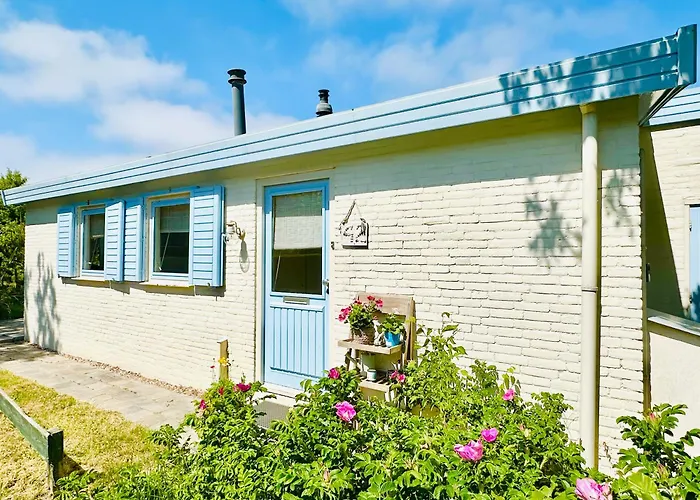 Zeeheid, Het Authentieke Strandgevoel *