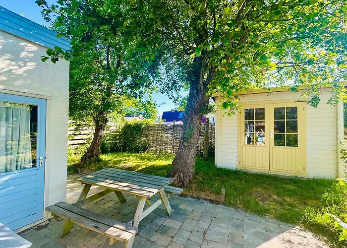Zeeheid, Het Authentieke Strandgevoel Callantsoog
