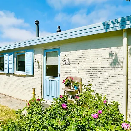 Zeeheid, Het Authentieke Strandgevoel *