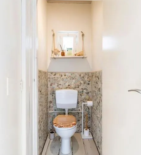 Zeeheid, Het Authentieke Strandgevoel *